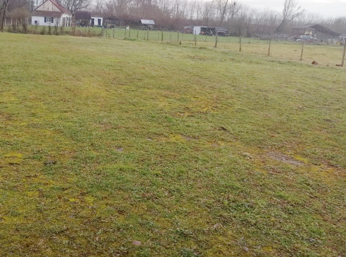 Agence immobilière de  ACTIMMO58