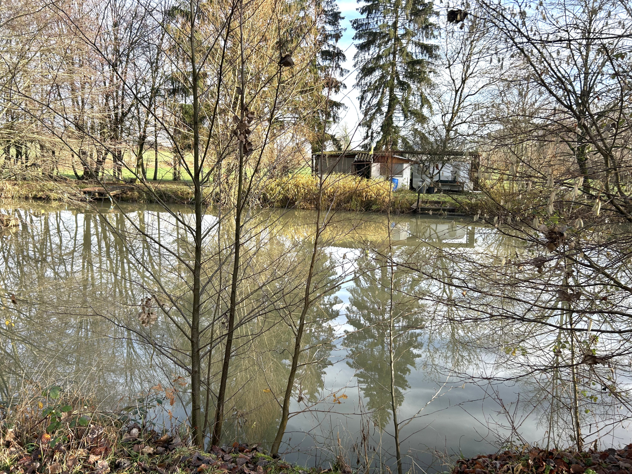 Agence immobilière de  ACTIMMO58