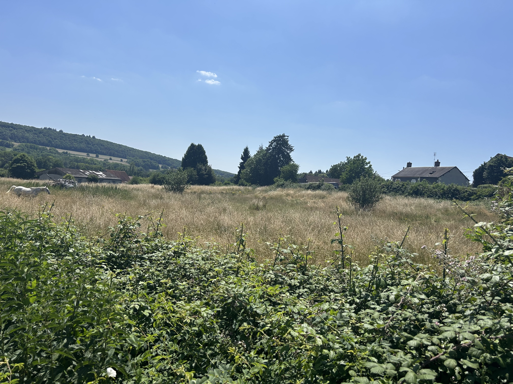 Agence immobilière de  ACTIMMO58